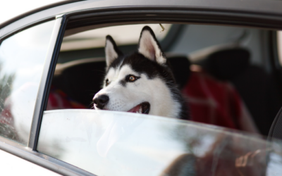 Ultimate Truck Insurance Portland Road Trip Guide to Pacific Northwest Adventure Coverage